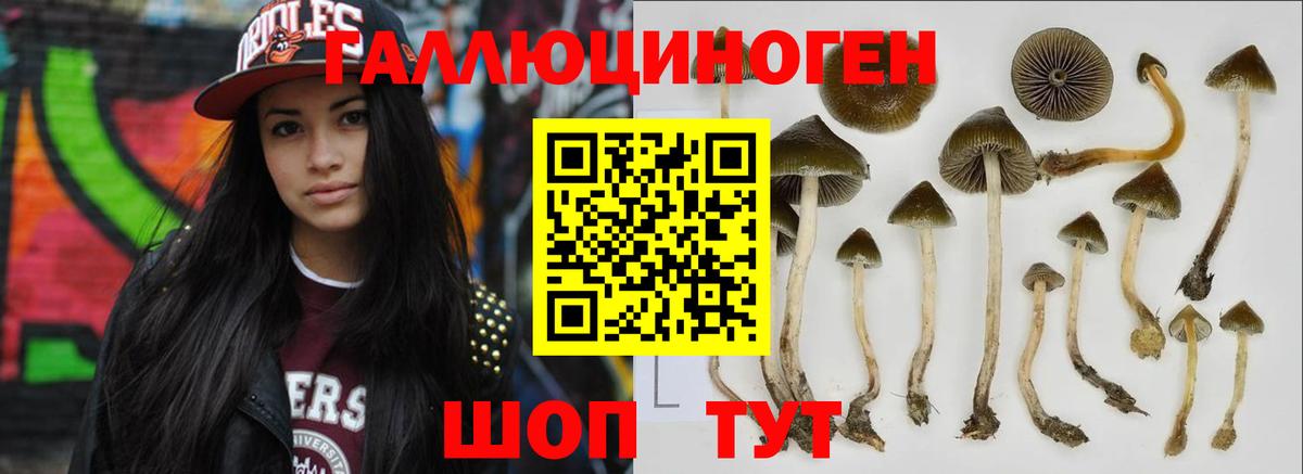 Псилоцибиновые грибы прущие грибы Зерноград