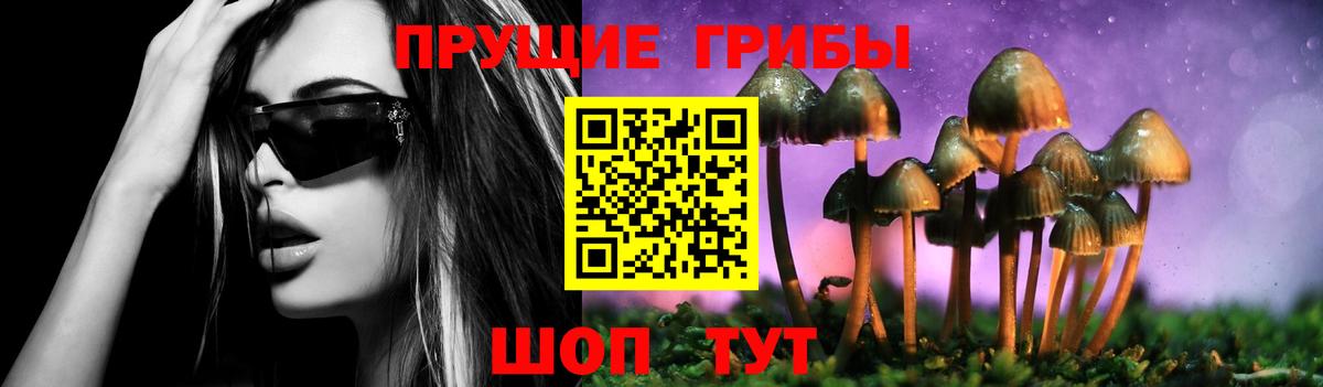 где продают   Псилоцибиновые грибы ЛСД  Вход с VPN  Зерноград 